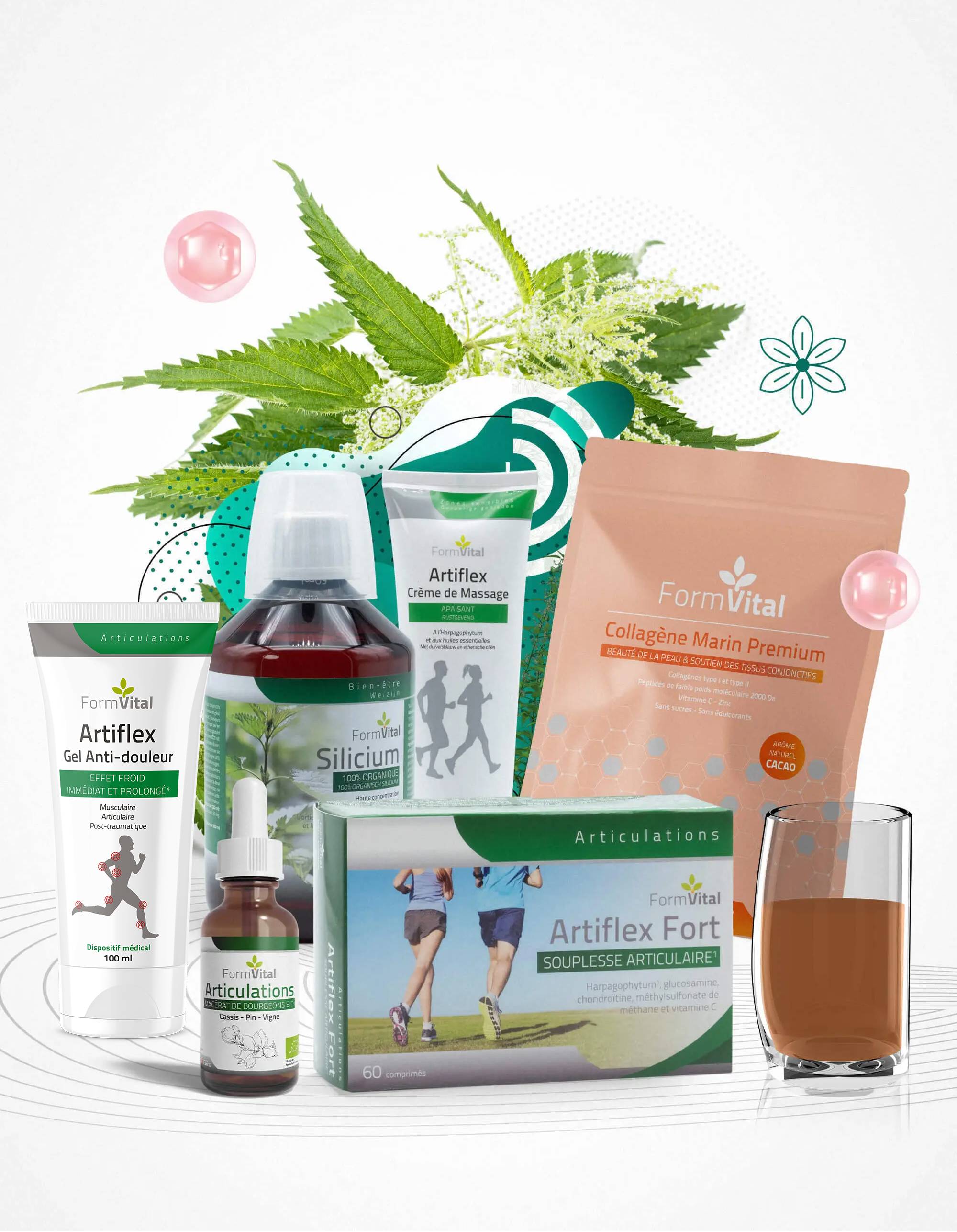 Phyto articulations formvital