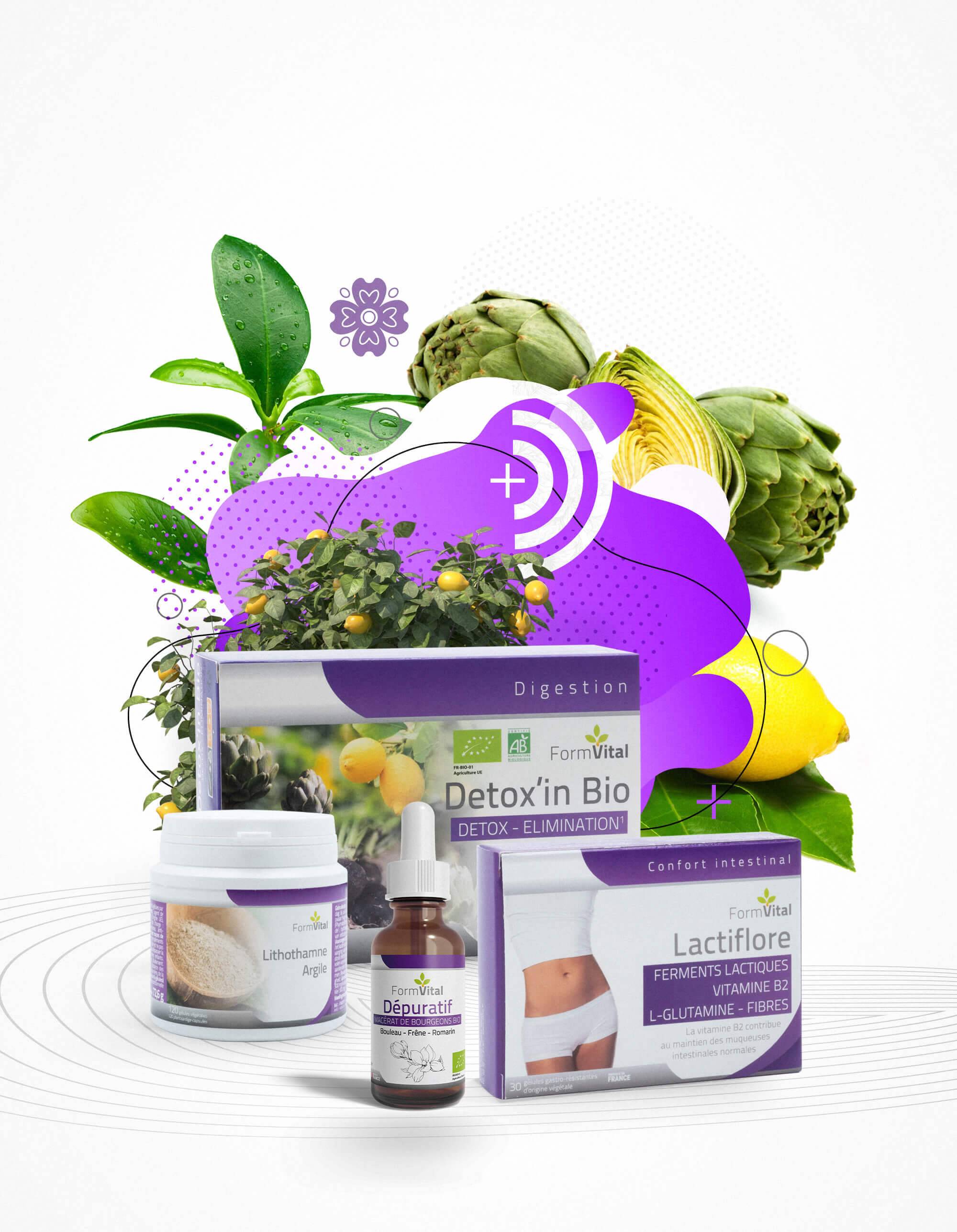 Phyto digestion microbiote formvital