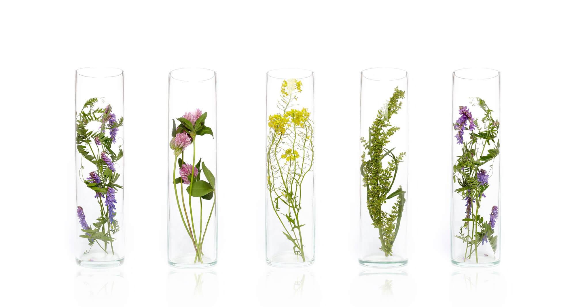 Phytotherapie aromatherapie AKEO