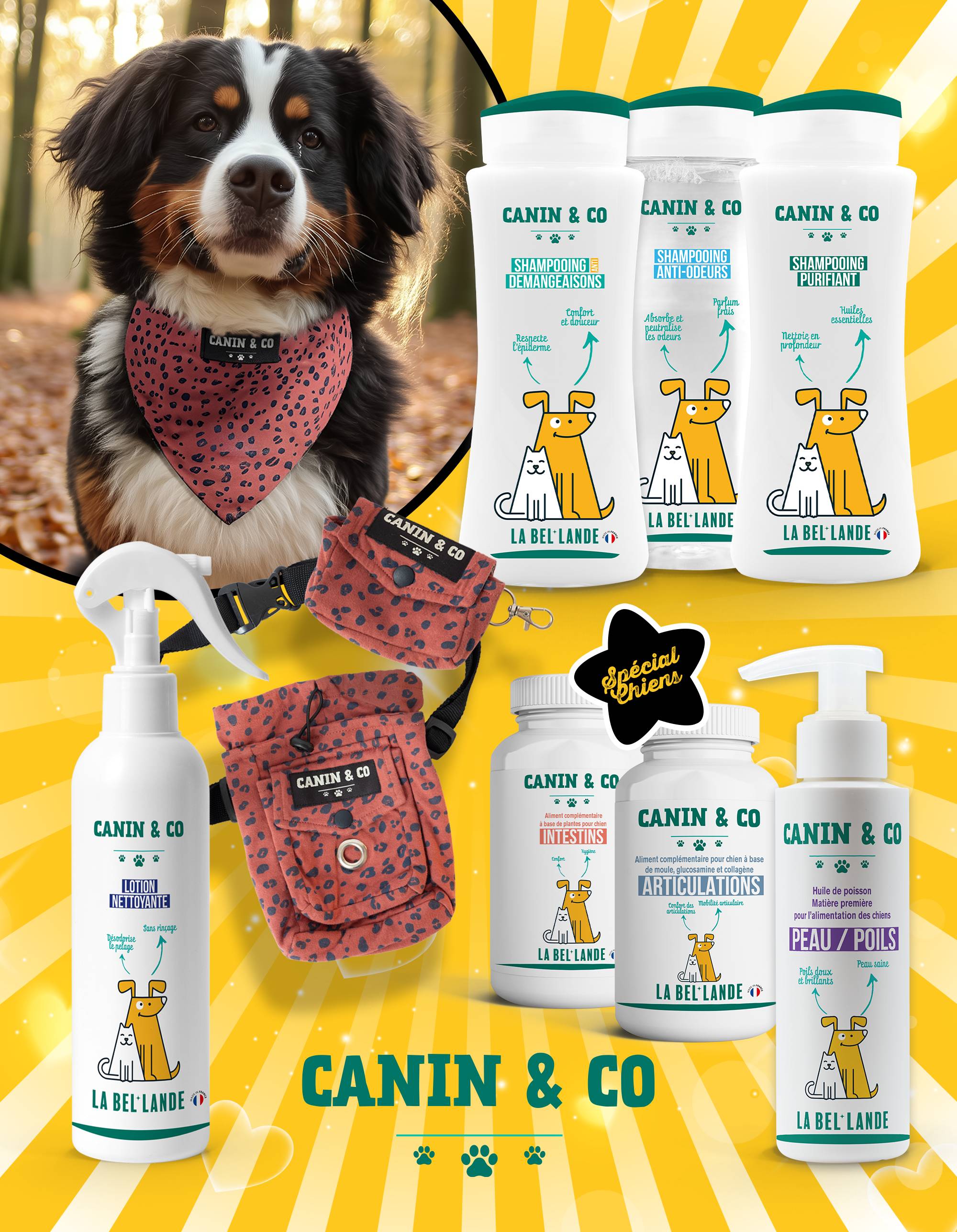 Shampoings chiens et chats Canin & Co