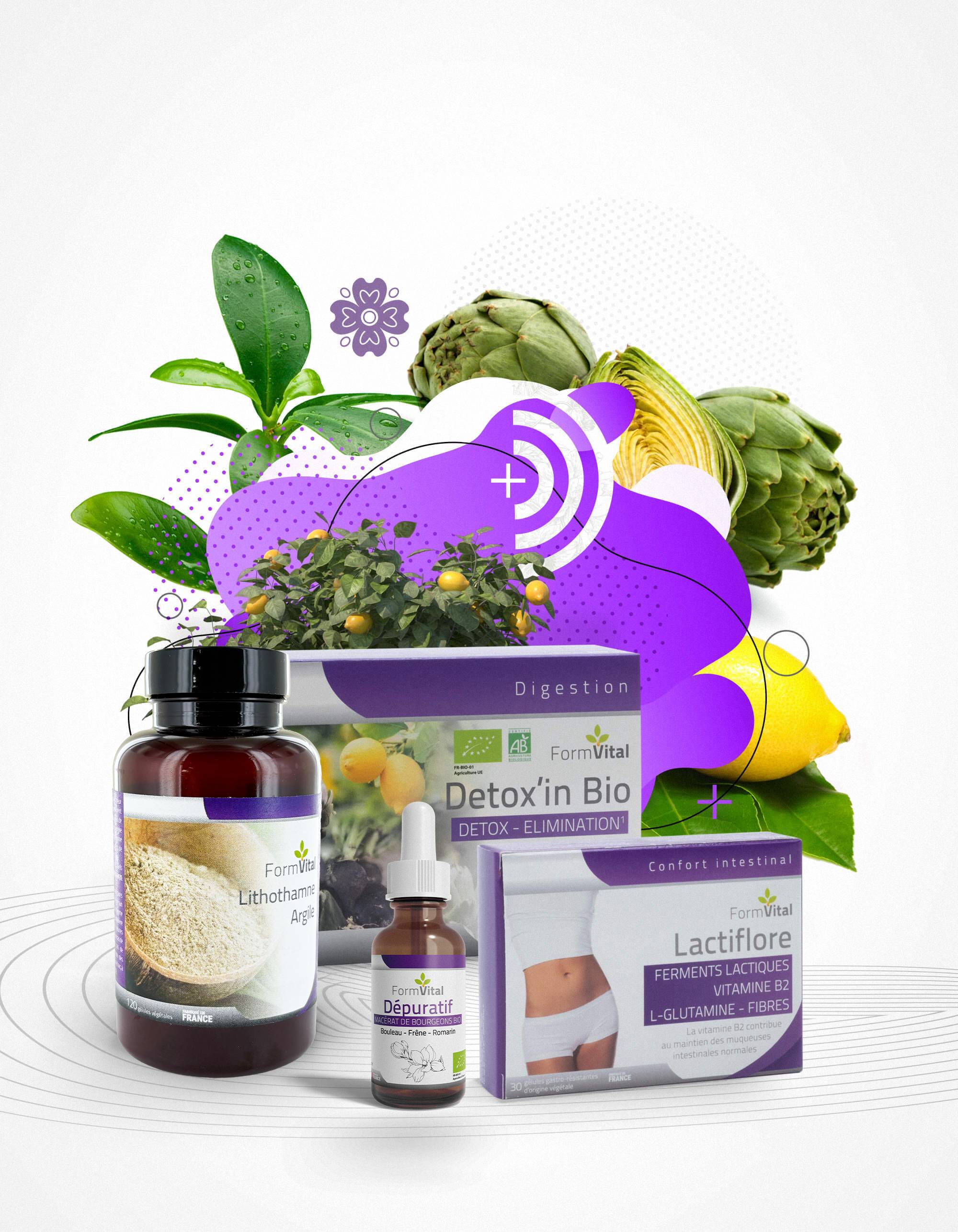 Phyto digestion microbiote Form'Vital